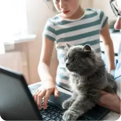 Person at a laptop with a gray fluffy cat sitting on the keyboard