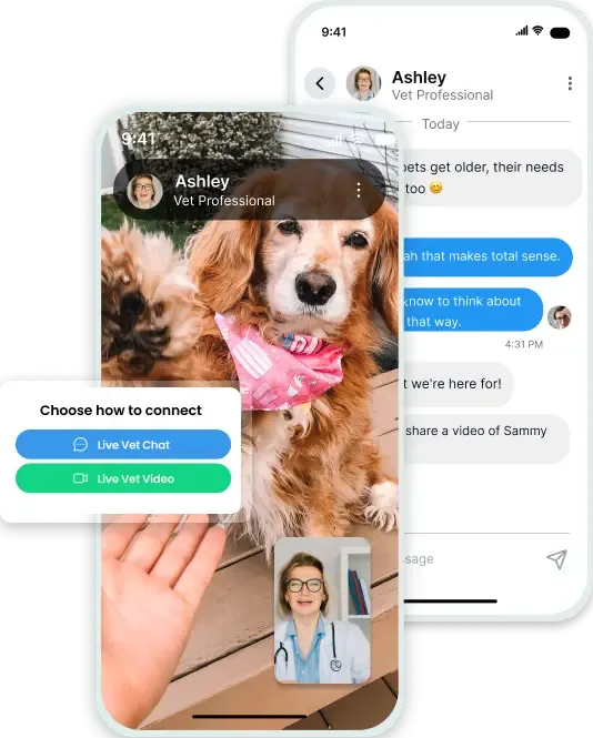 TeleVet app shown on two phones &mdash; a video call with a dog and a chat thread with a vet professional